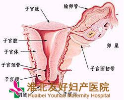 宮頸糜爛可以同房嗎