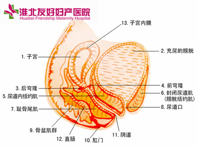 引起陰道炎的原因主要有哪些