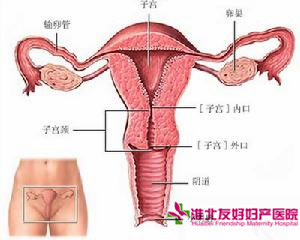 宮頸炎會引起閉經(jīng)嗎